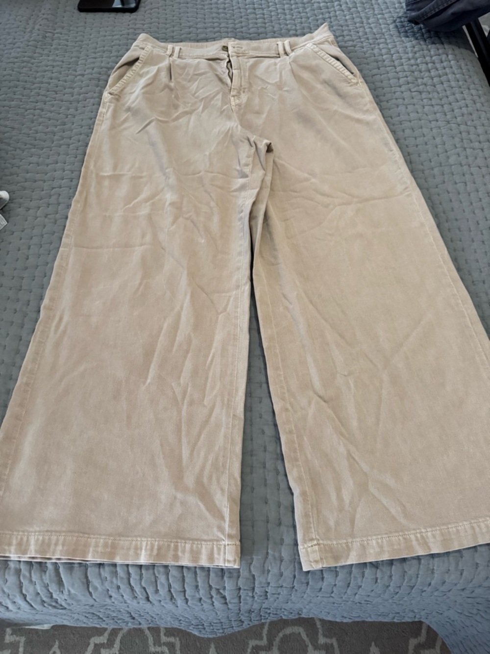 American Eagle Outfitters Wide Leg Pleated Trousers in khaki
